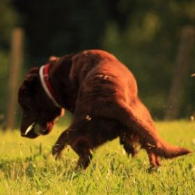 Visual & Photography - Apollo