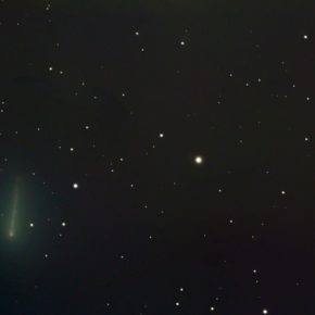 Hunting for Comet 'C2018 Y1/Iwamoto'