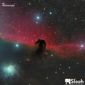 Horsehead Nebula Triology III: How it came to life.